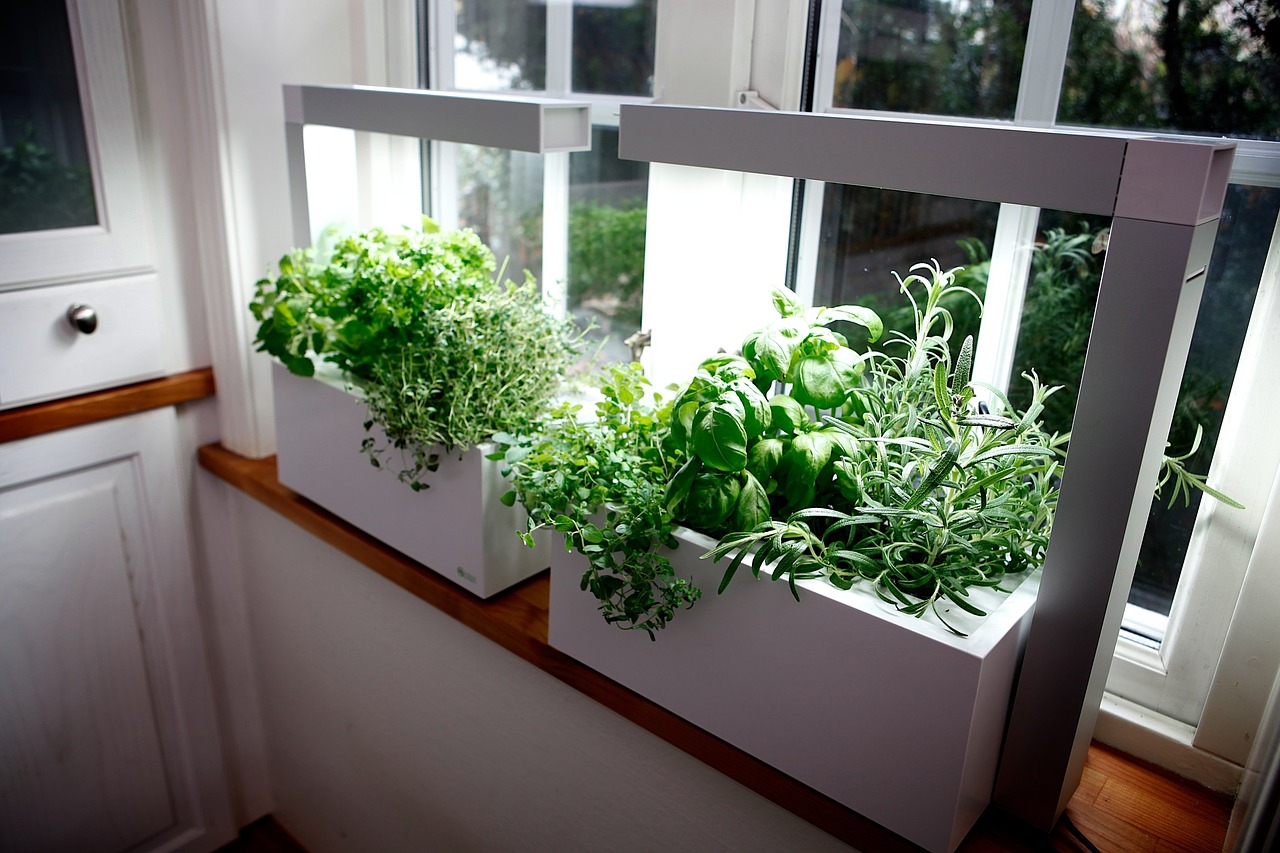 indoor herb garden  92