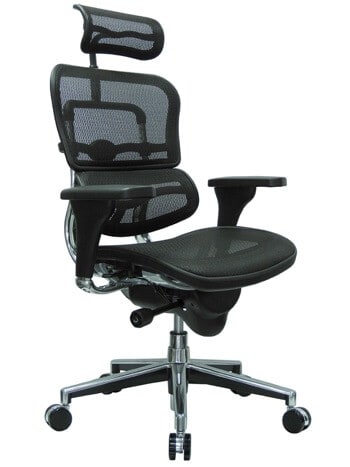 Ergohuman High Back Swivel Ergonomic Office Chair with Headrest